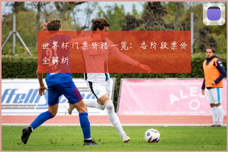 世界杯门票价格一览：各阶段票价全解析